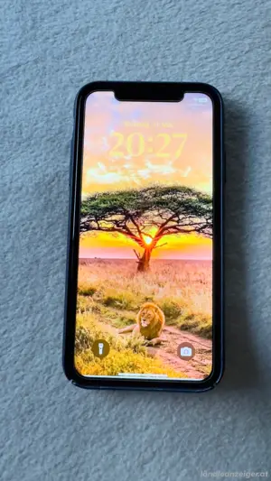 iPhone XR blau 64GB Bild 2