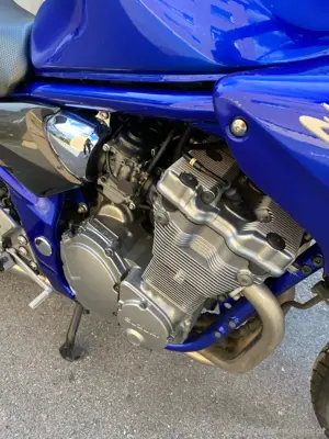 Suzuki Bandit GFS 600s Bild 4