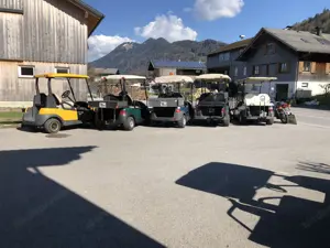 Golfwagen zu verkaufen  Bild 3