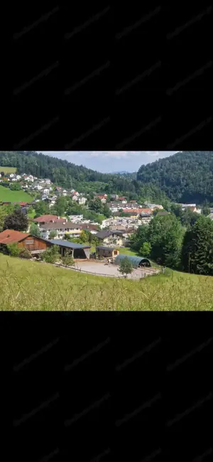 Offenstallplatz und Einstellplatz Bild 3