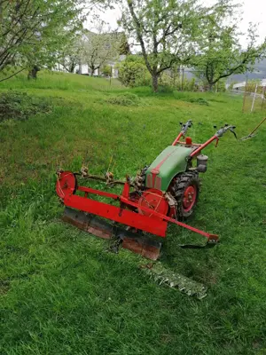 Rapid 505 Motormäher mit Bandrechen, Mähbalken & Bandeingraser Bild 6