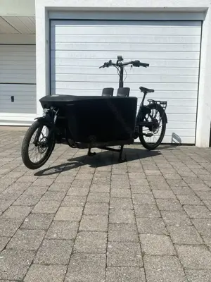 Trek Fetch+ Lastenrad 