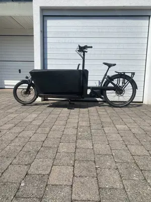 Trek Fetch+ Lastenrad  Bild 2
