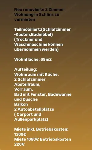 Neu renovierte 3 Zimmer Wohnung in Schlins Bild 3