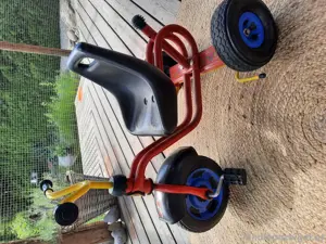 Dreirad  puky dreifärbig Bild 2