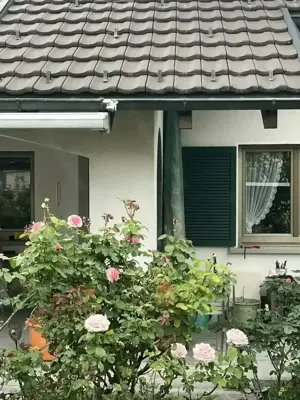 Dachziegel Flachfalz, ca. 17m , super Zustand