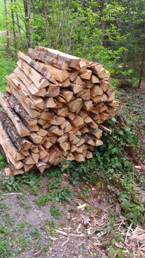 1,2m Birkenholz zu verkaufen