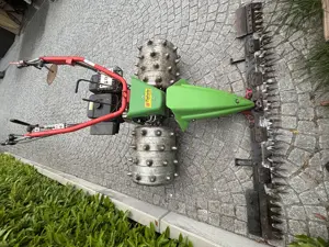 Rapid Swiss Motormäher