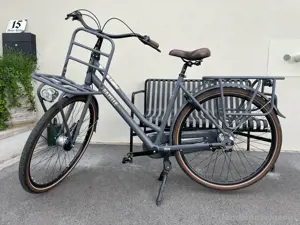 Lastenrad Gazelle Heavy Duty Bild 2
