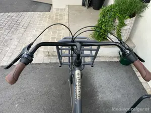 Lastenrad Gazelle Heavy Duty Bild 3