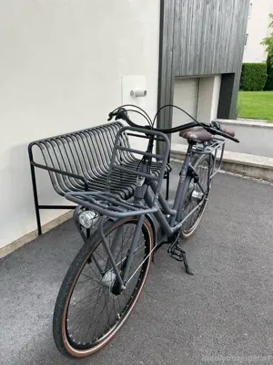 Lastenrad Gazelle Heavy Duty Bild 5