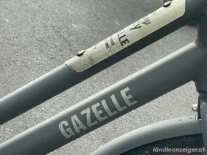 Lastenrad Gazelle Heavy Duty