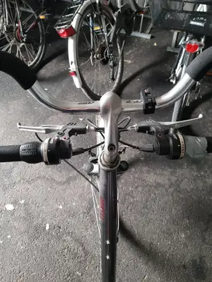 Damen- Fahrrad  Bild 2