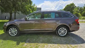 Skoda Octavia Octavia Combi 1,6 TDI 4x4 Green tec Elegance Bild 3