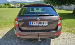 Skoda Octavia Octavia Combi 1,6 TDI 4x4 Green tec Elegance Bild 4