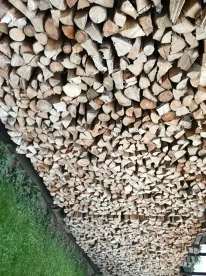 Brennholz zu verkaufen