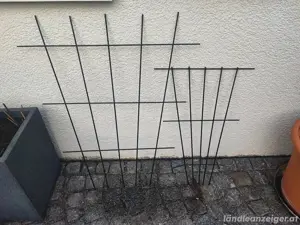 Diverse Rankgitter + Pflanzstützen