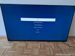 Samung Smart TV 50 Zoll