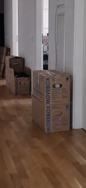 Umzugskartons im guten Zustand 