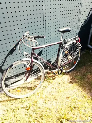 Herrenfahrrad Giant Tourer Bild 3