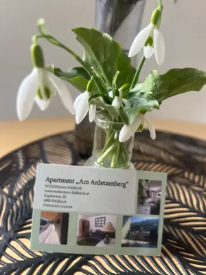 FERIENWohnung in Feldkirch Gisingen Bild 10