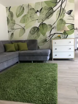FERIENWohnung in Feldkirch Gisingen Bild 3