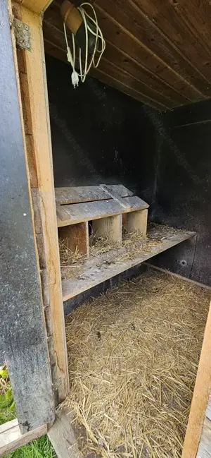 Hühnerstall zu verkaufen Bild 3