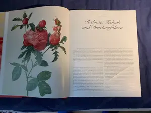 Seltenes Kunstbuch : Die Rosen  von Pierre Joseph Redoute Bild 3