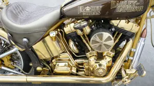 Harley Davidson - Einzelstück - Sonderumbau - FXSTD - Custombike Bild 10