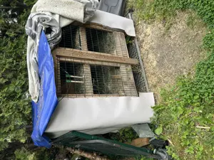 Meerschweinchen stahl oder Hasen. Mit laufgehege 