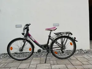 KTM Wildcat 24 Zoll