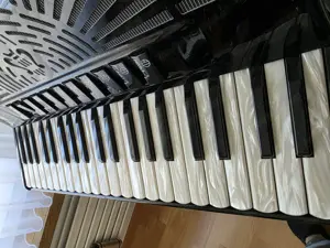 Akkordeon  Bild 5