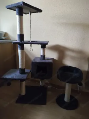 Katzen Kratzbaum 