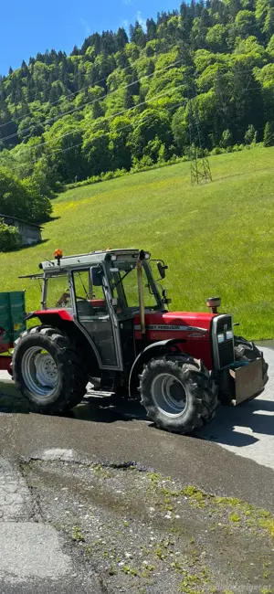 Massey Ferguson 362 Bild 2