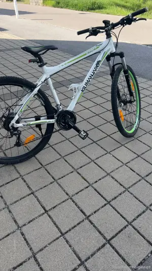 Fahrrad 29 Zoll.