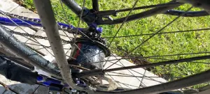 MaxxBike Rohloff Bild 3