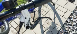 MaxxBike Rohloff Bild 2