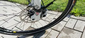 MaxxBike Rohloff Bild 4