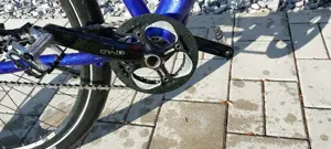 MaxxBike Rohloff Bild 5