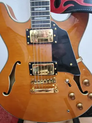 gitarre Eletrik und acustik Bild 2
