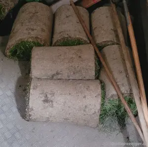 Rollrasen 
