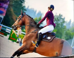 Turnier Sakko Equiline Bild 2