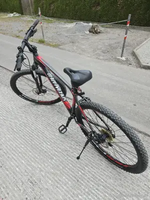 Montain bike  Bild 2