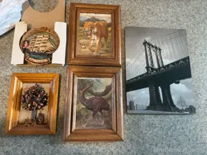 bild und Meeresschnecken Bild 5