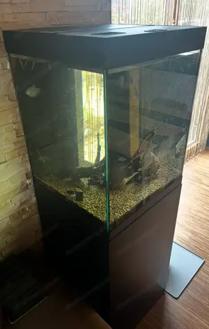Aquarium schwarz Bild 2
