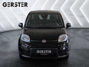 Fiat Panda Bild 2