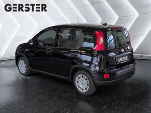 Fiat Panda Bild 4