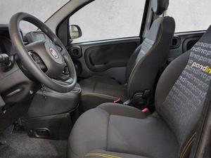 Fiat Panda Bild 6