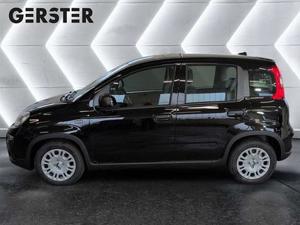 Fiat Panda Bild 3