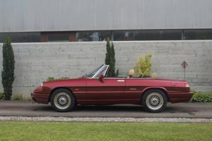 Alfa Romeo Spider Bild 4